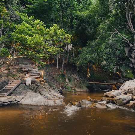 เดอะริเวอร์ แม่กำปอง The River Maekampong Chiang Mai Ban Pok Nai Exterior foto